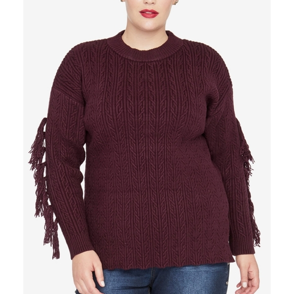 ❣ Racheal Roy trendy plus size tassel trim sweater - Picture 3 of 7